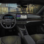 10_CUPRA Raval Manganese Matt